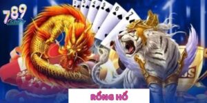 Rồng Hổ