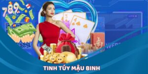 Mậu Binh